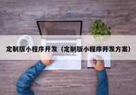 定制版小程序开发（定制版小程序开发方案）