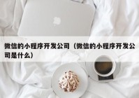 微信的小程序开发公司（微信的小程序开发公司是什么）