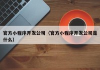 官方小程序开发公司（官方小程序开发公司是什么）