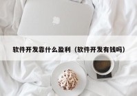 软件开发靠什么盈利（软件开发有钱吗）