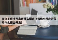 微信小程序开发用什么语言（微信小程序开发用什么语言开发）